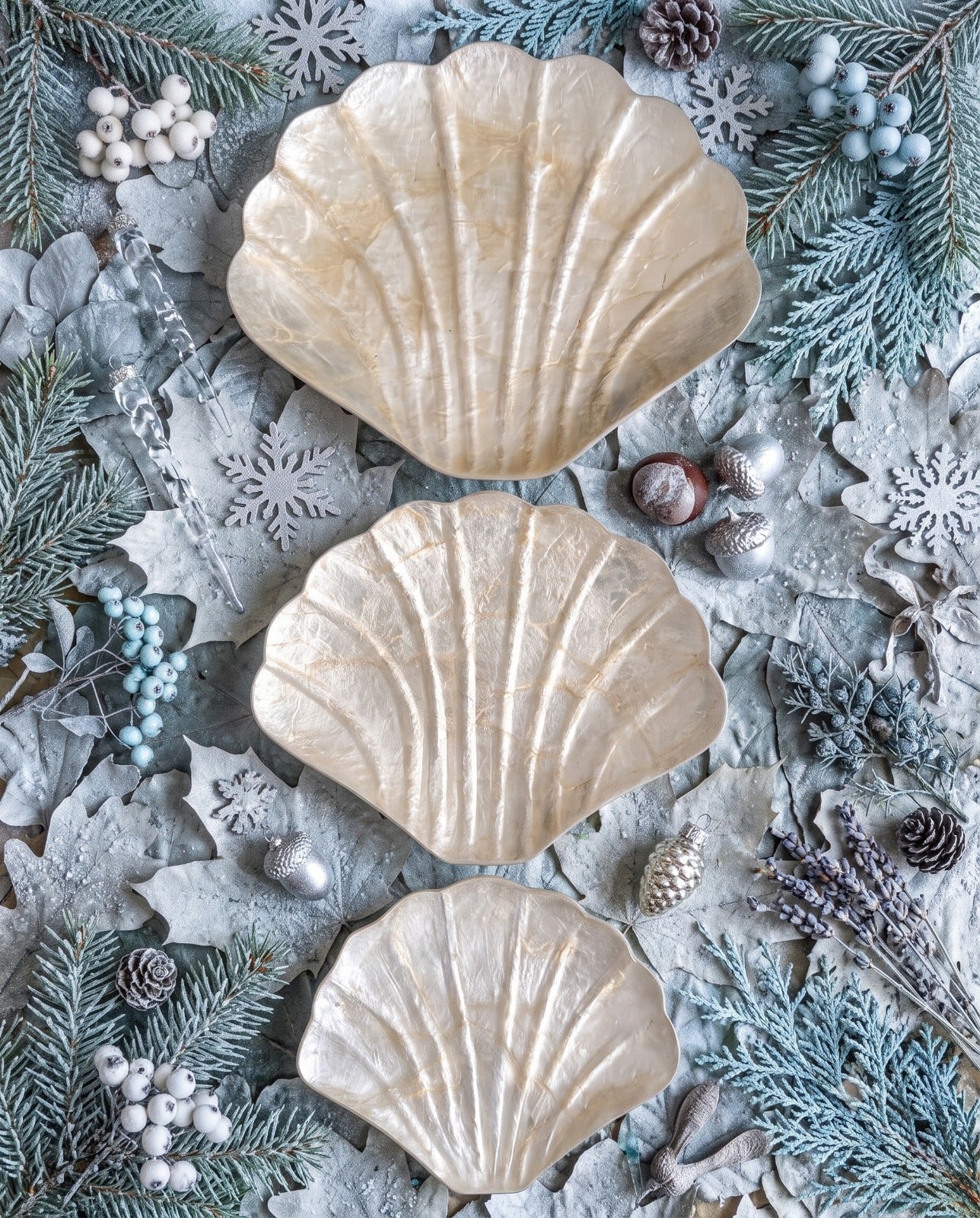 Sea Shell Plates Set 3 ( Large, Medium, Small) from Bali